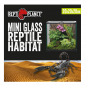 Preview: Glas Terrarium